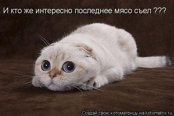 И кто же интересно последнее мясо съел ???... Котоматрица: И кто же интересно последнее мясо съел ???