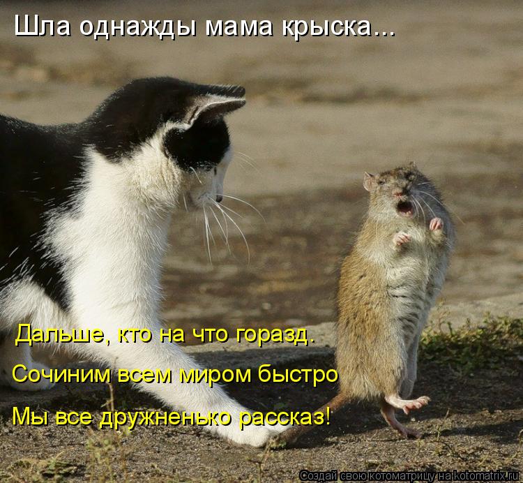 Шла однажды мама крыска... Дальше, кто на что горазд. Сочиним всем миром быстро Мы все дружненько рас... Котоматрица: Шла однажды мама крыска... Дальше, кто на что горазд. Сочиним всем миром быстро Мы все дружненько рассказ!