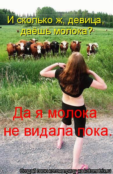И сколько ж, девица, даёшь молока? Да я молока не видала пока.... Котоматрица: И сколько ж, девица, даёшь молока? Да я молока не видала пока.