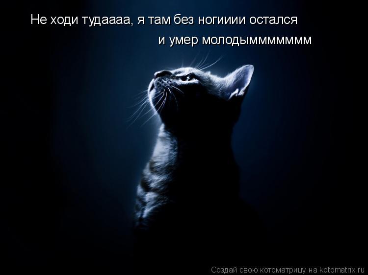 Не ходи тудаааа, я там без ногииии остался и умер молодыммммммм... Котоматрица: Не ходи тудаааа, я там без ногииии остался и умер молодыммммммм