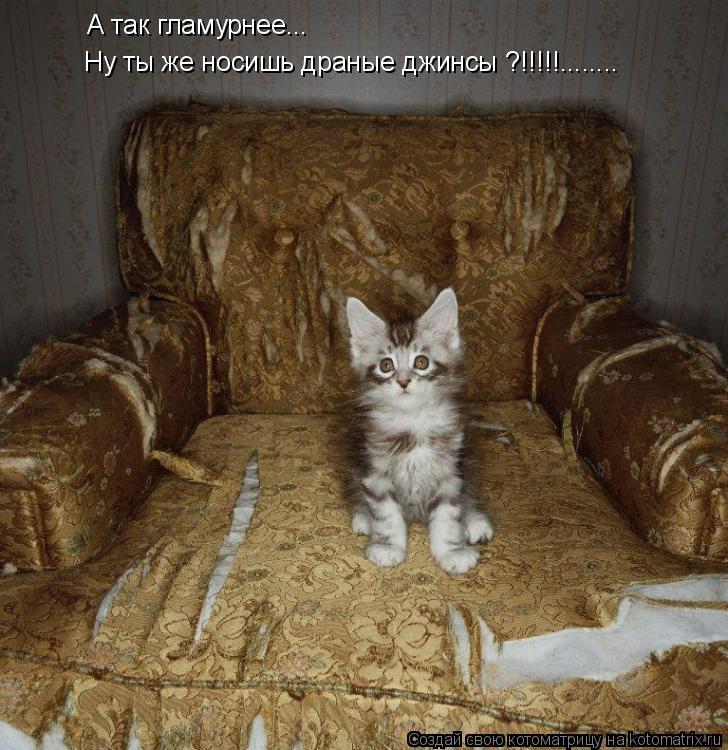 А так гламурнее... Ну ты же носишь драные джинсы ?!!!!!........... Котоматрица: А так гламурнее... Ну ты же носишь драные джинсы ?!!!!!........