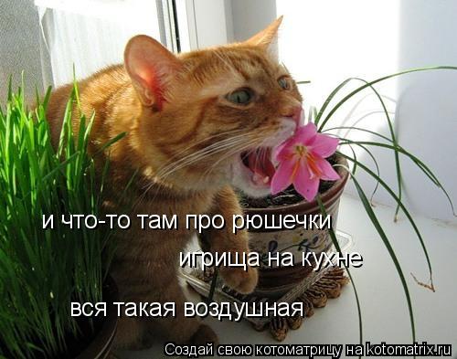 и что-то там про рюшечки игрища на кухне вся такая воздушная... Котоматрица: и что-то там про рюшечки игрища на кухне вся такая воздушная