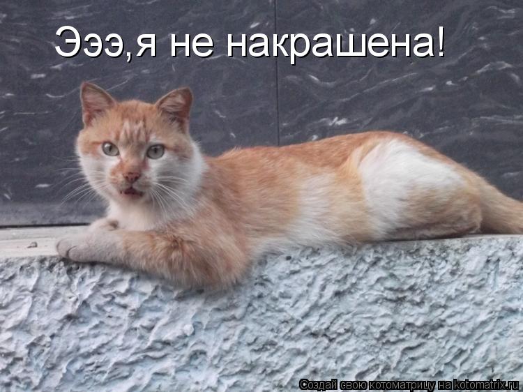 Котоматрица: Эээ,я не накрашена!