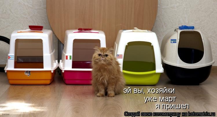 эй вы, хозяйки уже март я пришел... Котоматрица: эй вы, хозяйки уже март я пришел