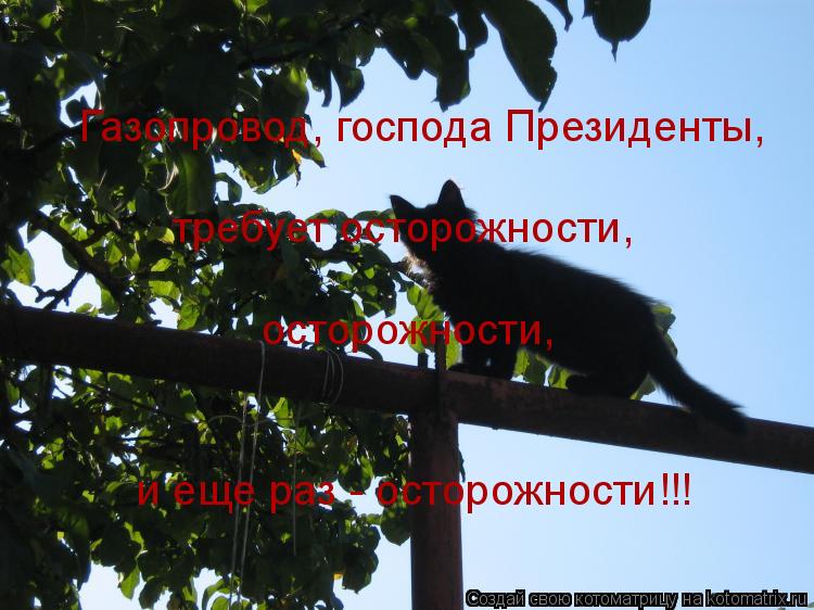 Газопровод, господа Президенты, требует осторожности, осторожности, и еще раз - осторожности!!!... Котоматрица: Газопровод, господа Президенты, требует осторожности, осторожности, и еще раз - осторожности!!!