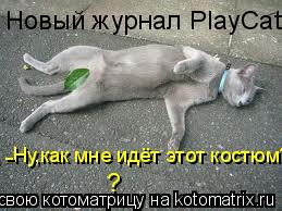 Новый журнал PlayCat Ну,как мне идёт этот костюм? - ?... Котоматрица: Новый журнал PlayCat Ну,как мне идёт этот костюм? - ?