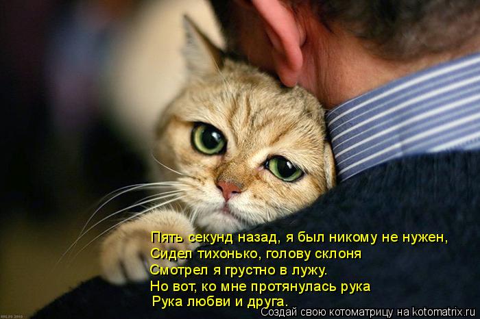 Пять секунд назад, я был никому не нужен, Сидел тихонько, голову склоня Смотрел я грустно в лужу. Рук... Котоматрица: Пять секунд назад, я был никому не нужен, Сидел тихонько, голову склоня Смотрел я грустно в лужу. Рука любви и друга. Но вот, ко мне протянулас