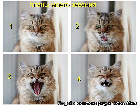 Котоматрица: 1 2 3 4 планы моего зевания:
