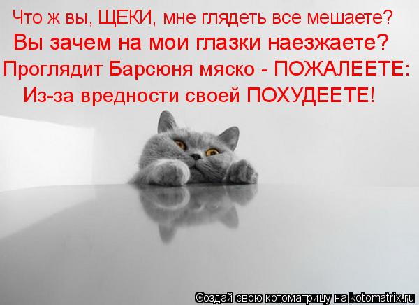 Что ж вы, ЩЕКИ, мне глядеть все мешаете? Вы зачем на мои глазки наезжаете? Проглядит Барсюня мяско - ... Котоматрица: Что ж вы, ЩЕКИ, мне глядеть все мешаете? Вы зачем на мои глазки наезжаете? Проглядит Барсюня мяско - ПОЖАЛЕЕТЕ: Из-за вредности своей ПОХУДЕЕТ