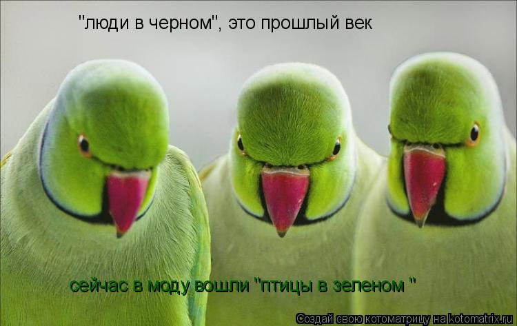 "люди в черном", это прошлый век сейчас в моду вошли "птицы в зеленом "... Котоматрица: "люди в черном", это прошлый век сейчас в моду вошли "птицы в зеленом "
