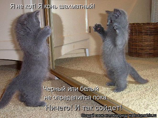 Я не кот! Я конь шахматный! не определился пока Черный или белый ... Ничего! И так сойдет!... Котоматрица: Я не кот! Я конь шахматный! не определился пока Черный или белый ... Ничего! И так сойдет!