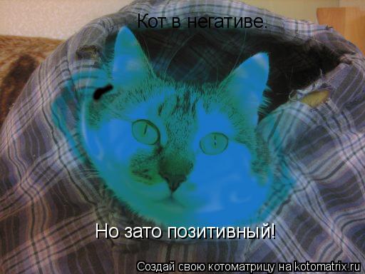 Кот в негативе. Но зато позитивный!... Котоматрица: Кот в негативе. Но зато позитивный!