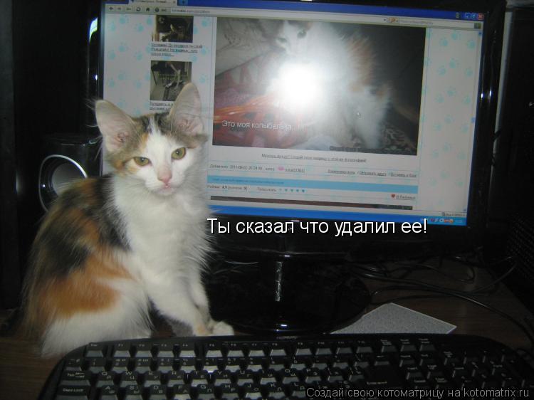 Котоматрица: Ты сказал что удалил ее!