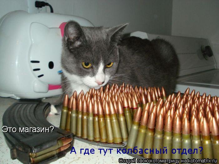 Котоматрица: Это магазин? А где тут колбасный отдел?