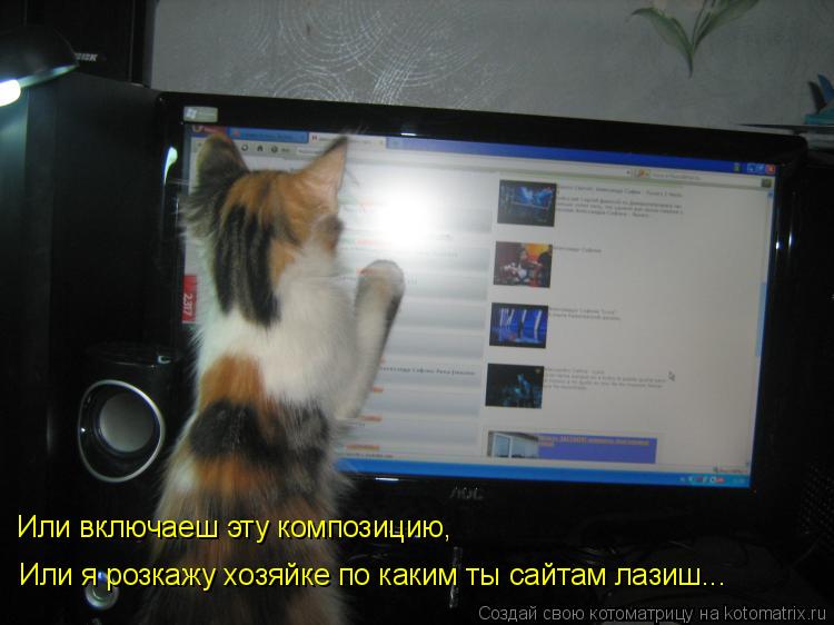 Котоматрица: Или включаеш эту композицию,  Или я розкажу хозяйке по каким ты сайтам лазиш...