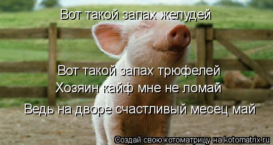 Котоматрица: Вот такой запах желудей Вот такой запах трюфелей Хозяин кайф мне не ломай Ведь на дворе счастливый месец май
