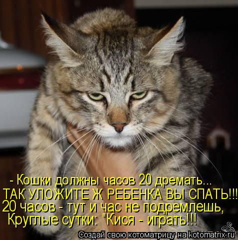 - Кошки должны часов 20 дремать... ТАК УЛОЖИТЕ Ж РЕБЕНКА ВЫ СПАТЬ!!! 20 часов - тут и час не подремле... Котоматрица: - Кошки должны часов 20 дремать... ТАК УЛОЖИТЕ Ж РЕБЕНКА ВЫ СПАТЬ!!! 20 часов - тут и час не подремлешь, Круглые сутки: "Кися - играть!!!