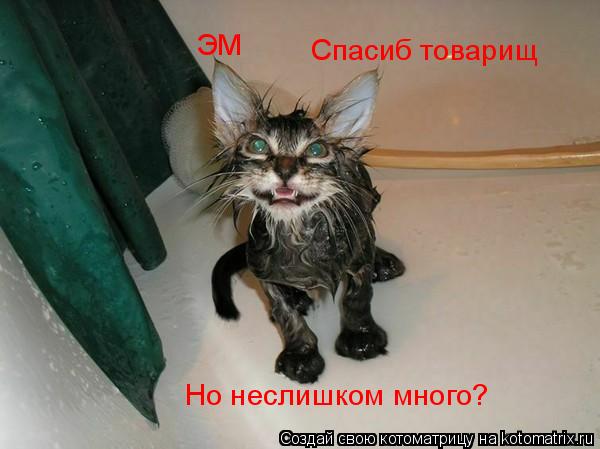 Котоматрица: ЭМ Спасиб товарищ Но неслишком много?