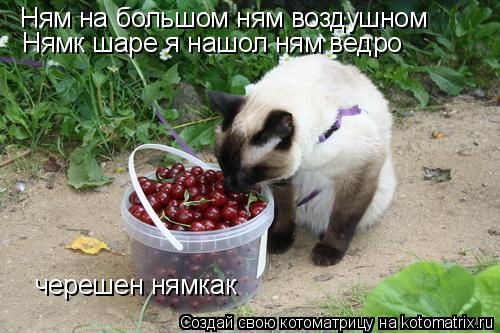 Котоматрица: Ням на большом ням воздушном Нямк шаре я нашол ням ведро черешен нямкак