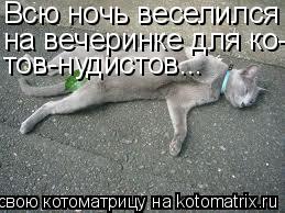 Всю ночь веселился на вечеринке для ко- тов-нудистов...... Котоматрица: Всю ночь веселился на вечеринке для ко- тов-нудистов...