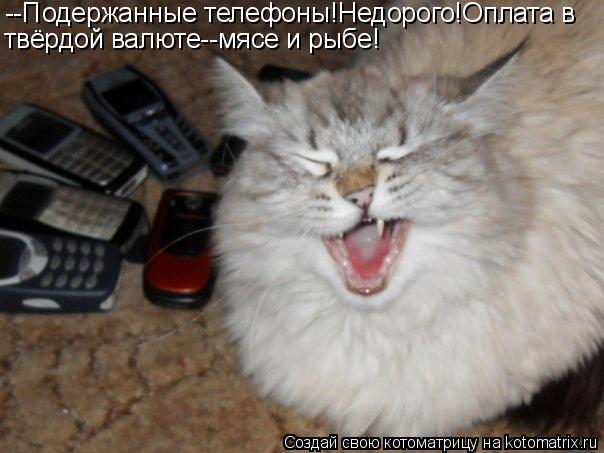 --Подержанные телефоны!Недорого!Оплата в твёрдой валюте--мясе и рыбе!... Котоматрица: --Подержанные телефоны!Недорого!Оплата в твёрдой валюте--мясе и рыбе!