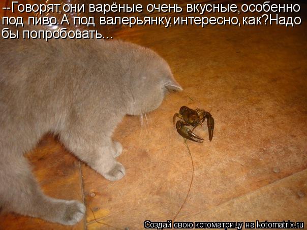 --Говорят,они варёные очень вкусные,особенно под пиво.А под валерьянку,интересно,как?Надо бы попробов... Котоматрица: --Говорят,они варёные очень вкусные,особенно под пиво.А под валерьянку,интересно,как?Надо бы попробовать...