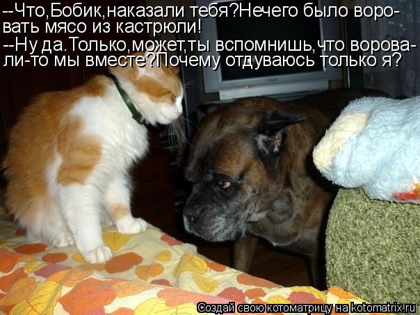 --Что,Бобик,наказали тебя?Нечего было воро- вать мясо из кастрюли! --Ну да.Только,может,ты вспомнишь,... Котоматрица: --Что,Бобик,наказали тебя?Нечего было воро- вать мясо из кастрюли! --Ну да.Только,может,ты вспомнишь,что ворова- ли-то мы вместе?Почему отдуваю