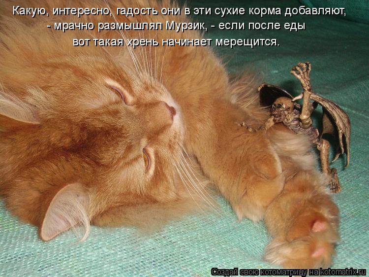 Какую, интересно, гадость они в эти сухие корма добавляют, - мрачно размышлял Мурзик, - если после ед... Котоматрица: Какую, интересно, гадость они в эти сухие корма добавляют, - мрачно размышлял Мурзик, - если после еды вот такая хрень начинает мерещится.