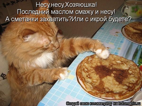Несу,несу,Хозяюшка! Последний маслом смажу и несу! А сметанки захватить?Или с икрой будете?... Котоматрица: Несу,несу,Хозяюшка! Последний маслом смажу и несу! А сметанки захватить?Или с икрой будете?