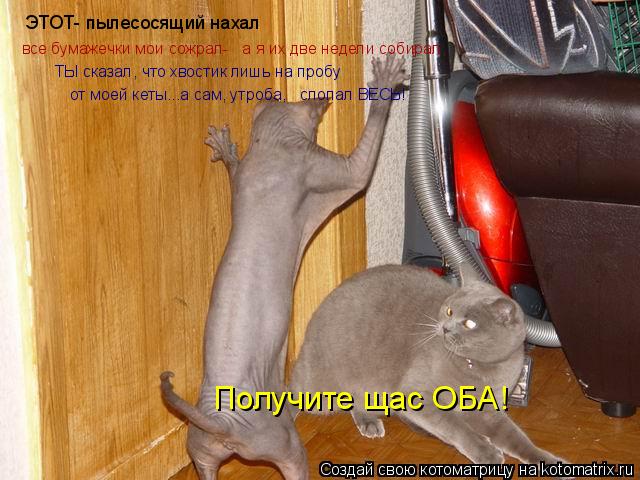 ЭТОТ- пылесосящий нахал все бумажечки мои сожрал- а я их две недели собирал, ТЫ сказал, что хвостик... Котоматрица: ЭТОТ- пылесосящий нахал все бумажечки мои сожрал- а я их две недели собирал, ТЫ сказал, что хвостик лишь на пробу от моей кеты...а сам, утроба,