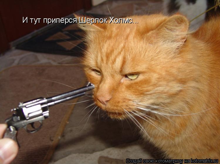 И тут припёрся Шерлок Холмс...... Котоматрица: И тут припёрся Шерлок Холмс...