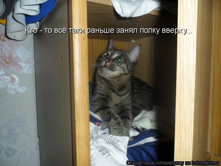 Кто - то всё таки раньше занял полку вверху...... Котоматрица: Кто - то всё таки раньше занял полку вверху...