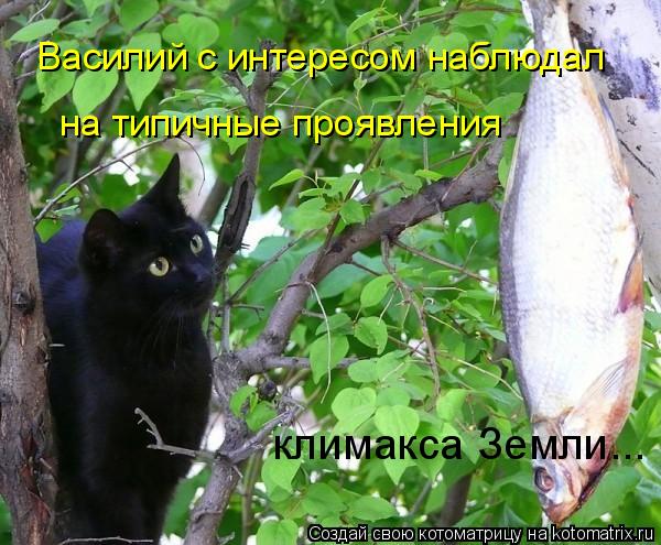 Василий с интересом наблюдал на типичные проявления климакса Земли...... Котоматрица: Василий с интересом наблюдал на типичные проявления климакса Земли...