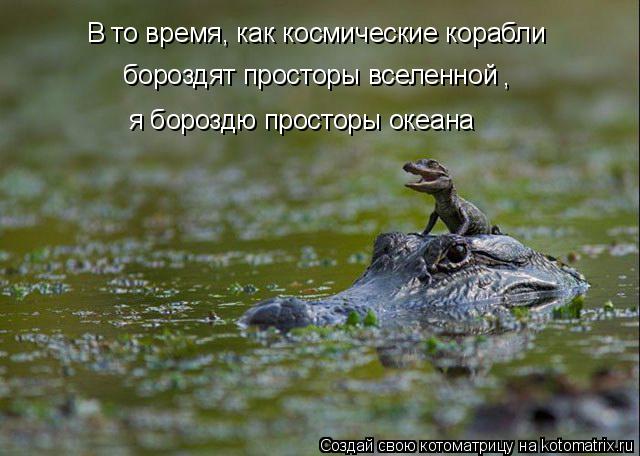 В то время, как космические корабли бороздят просторы вселенной , я бороздю просторы океана... Котоматрица: В то время, как космические корабли бороздят просторы вселенной , я бороздю просторы океана