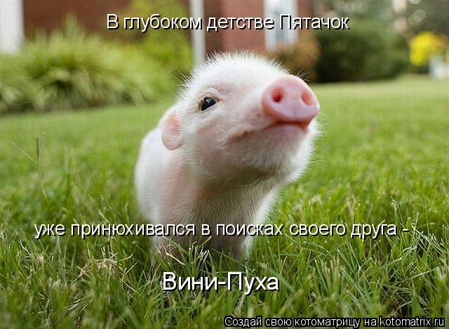 В глубоком детстве Пятачок уже принюхивался в поисках своего друга - Вини-Пуха... Котоматрица: В глубоком детстве Пятачок уже принюхивался в поисках своего друга - Вини-Пуха