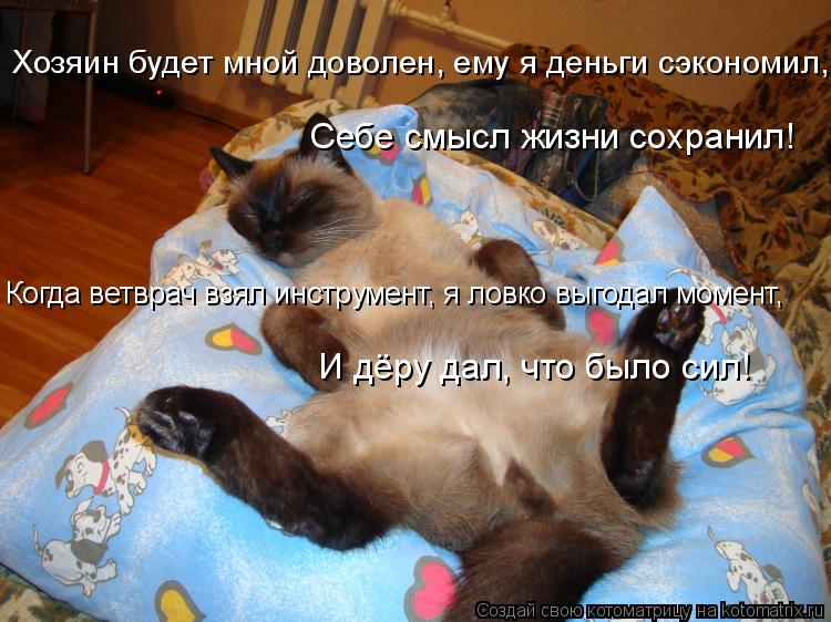 Себе смысл жизни сохранил! Хозяин будет мной доволен, ему я деньги сэкономил, Когда ветврач взял инст... Котоматрица: Себе смысл жизни сохранил! Хозяин будет мной доволен, ему я деньги сэкономил, Когда ветврач взял инструмент, я ловко выгодал момент, И дёру д