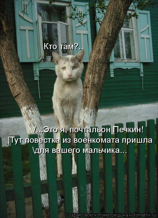 \для вашего мальчика... /...Это я, почтальон Печкин! Кто там?.. |Тут повестка из военкомата пришла... Котоматрица: \для вашего мальчика... /...Это я, почтальон Печкин! Кто там?.. |Тут повестка из военкомата пришла
