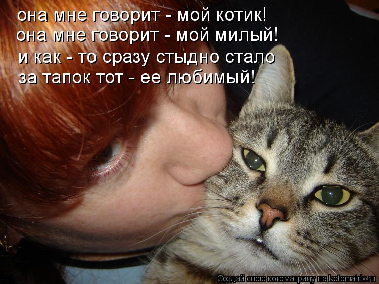 Котоматрица: она мне говорит - мой котик! она мне говорит - мой милый! и как - то сразу стыдно стало за тапок тот - ее любимый!