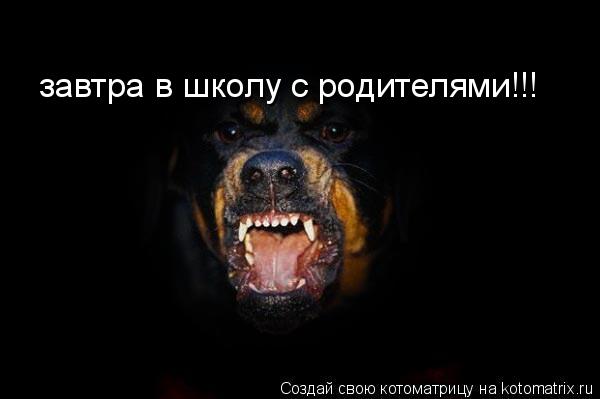 завтра в школу с родителями!!!... Котоматрица: завтра в школу с родителями!!!