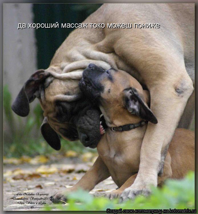 Котоматрица: да хороший массаж токо можеш пониже