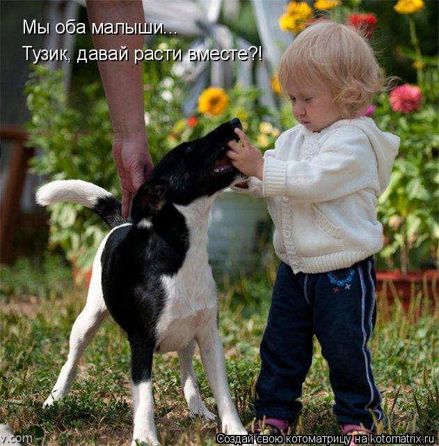 Котоматрица: Мы оба малыши... Тузик, давай расти вместе?!