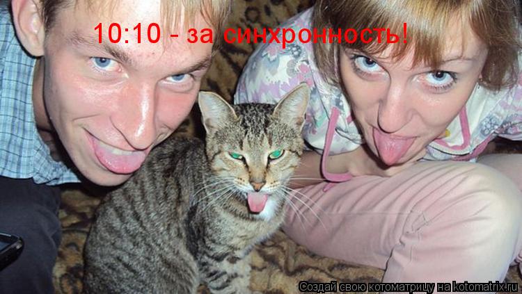 Котоматрица: 10:10 - за синхронность!