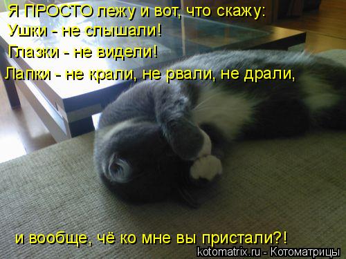 Котоматрица: Я ПРОСТО лежу и вот, что скажу: Ушки - не слышали! Глазки - не видели! Лапки - не крали, не рвали, не драли, и вообще, чё ко мне вы пристали?!