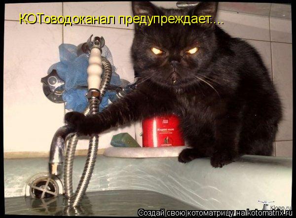 КОТоводоканал предупреждает....... Котоматрица: КОТоводоканал предупреждает....