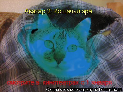 Котоматрица: Аватар 2 Аватар 2: Кошачья эра смотрите в  кинотеатрах с 1 января