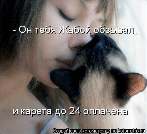 Котоматрица: - Он тебя Жабой обзывал, и карета до 24 оплачена