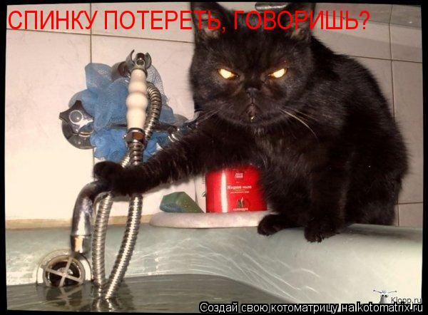 СПИНКУ ПОТЕРЕТЬ, ГОВОРИШЬ?... Котоматрица: СПИНКУ ПОТЕРЕТЬ, ГОВОРИШЬ?