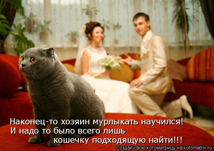 Наконец-то хозяин мурлыкать научился! И надо то было всего лишь кошечку подходящую най И надо то было... Котоматрица: Наконец-то хозяин мурлыкать научился! И надо то было всего лишь кошечку подходящую най И надо то было всего лишь кошечку подходящую найти!!!