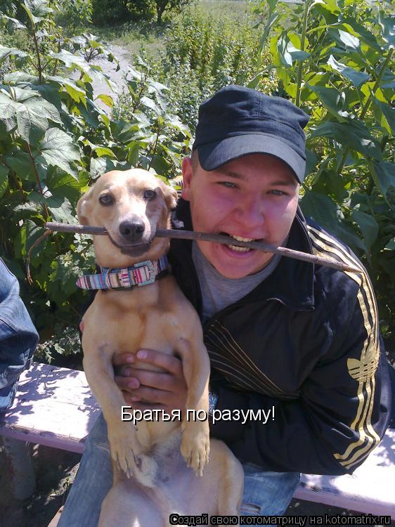 Братья по разуму!... Котоматрица: Братья по разуму!