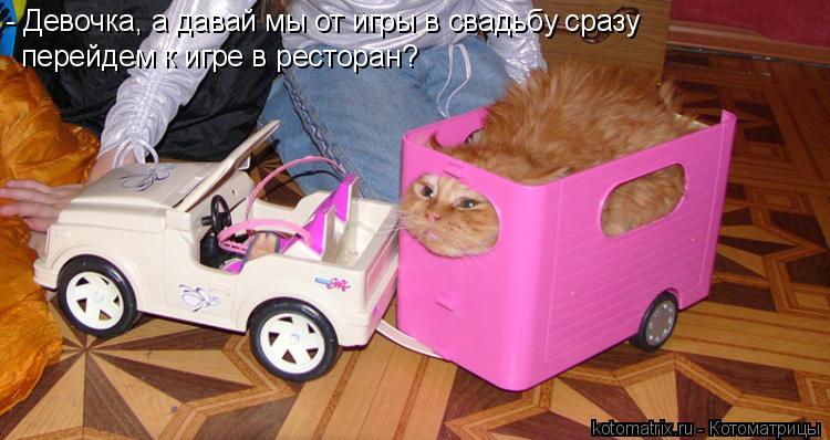 - Девочка, а давай мы от игры в свадьбу сразу перейдем к игре в ресторан?... Котоматрица: - Девочка, а давай мы от игры в свадьбу сразу перейдем к игре в ресторан?